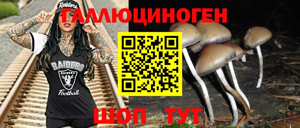 Прохладный  Псилоцибиновые грибы мицелий  Вход с VPN 