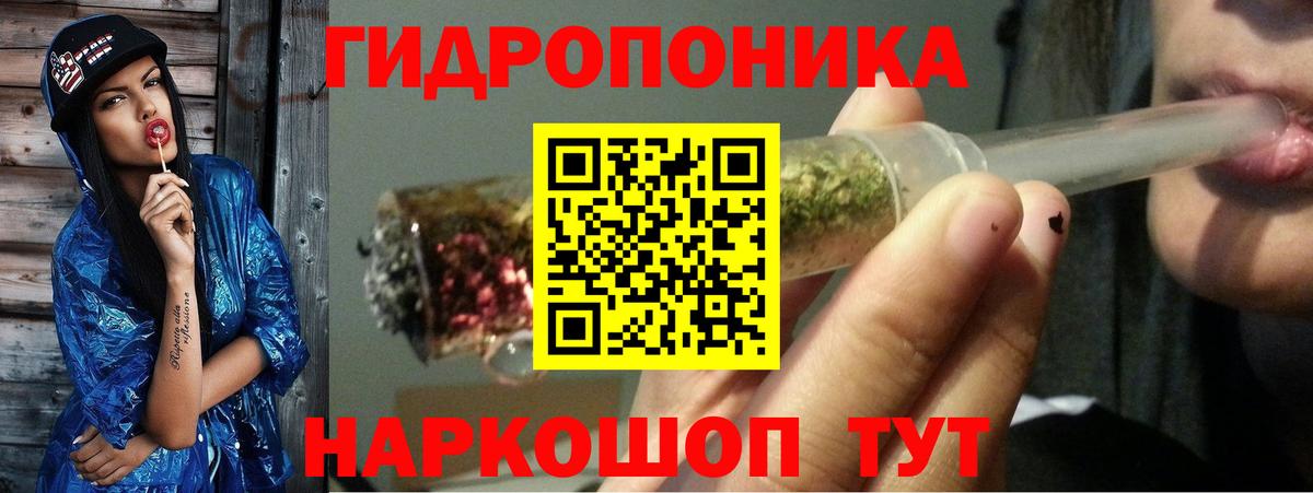 Каннабис SATIVA & INDICA Прохладный
